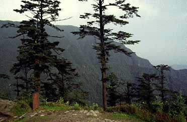 Emei Shan, Sichuan, Jacek Piwowarczyk