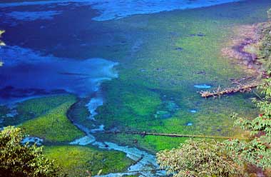 JIUZHAIGO SCENIC AREA