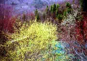 Five Flowers Lake, Jhiuzhaigo, China, Jacek Piwowarczyk, 1998