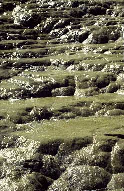 Huanglong, China, Jacek Piwowarczyk, 1998