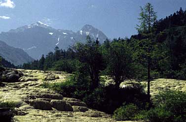 Huanglong, China, Jacek Piwowarczyk, 1998