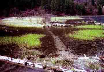 Jianzhu Lake, Jiuzhaigo, China, Jacek Piwowarczyk, 1997