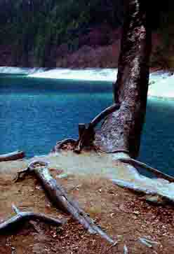 Panda Lake, Jiuzhaigo, China, Jacek Piwowarczyk, 1997