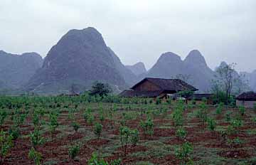 Yangshuo, China, Jacek Piwowarczyk 1999