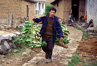 Yangshuo, China, Jacek Piwowarczyk 1999