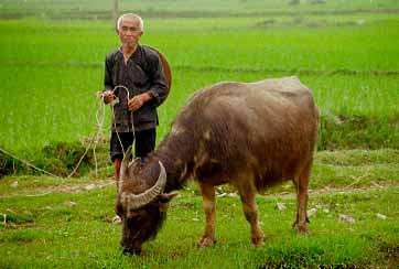 Yangshuo, China, Jacek Piwowarczyk 1997