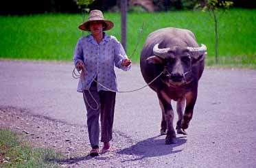 Yangshuo, China, Jacek Piwowarczyk 1996