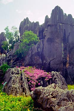 Shi Lin, Yunnan, China, Jacek Piwowarczyk 1994-1997