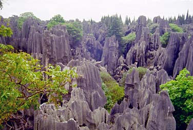 Shi Lin, Yunnan, China, Jacek Piwowarczyk 1994-1997