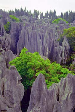 Shi Lin, Yunnan, China, Jacek Piwowarczyk 1994-1997