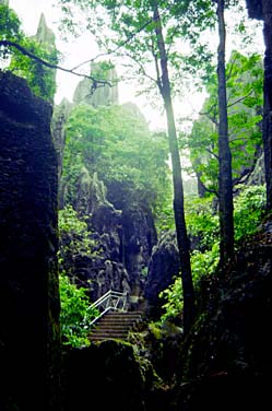 Shi Lin, Yunnan, China, Jacek Piwowarczyk 1994-1997