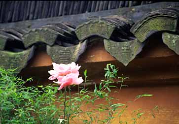 Zhouzhuang, China, Jacek Piwowarczyk, 2002