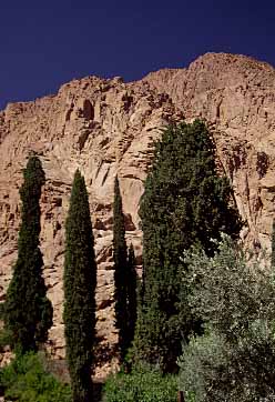 Mt Sinai, Sinai Peninsula, Egypt, Jacek Piwowarczyk, 1997