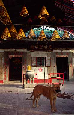 ei Yi Mun, NT, Hong Kong, China, Jacek Piwowarczyk, 2002 