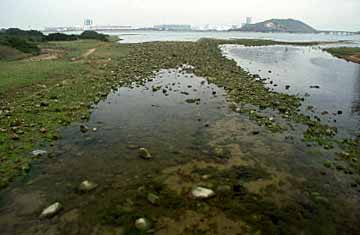 Tung Chung, Lantau Island, Hong Kong, China, Jacek Piwowarczyk, 2003