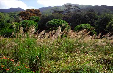 Sha Lo Wan, Lantau Island, Hong Kong, China, Jacek Piwowarczyk, 2003