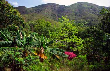 Sha Lo Wan, Lantau Island, Hong Kong, China, Jacek Piwowarczyk, 2003