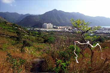 Tai O, Lantau Island, Hong Kong, China, Jacek Piwowarczyk, 2003