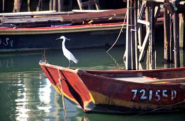 Tai O, Lantau Island, Hong Kong, China, Jacek Piwowarczyk, 2003