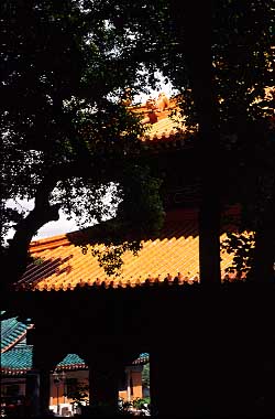 Wong Tai Sin Temple, Kowloon, Hong Kong, China, Jacek Piowarczyk, 2004