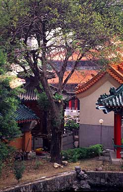 Wong Tai Sin Temple, Kowloon, Hong Kong, China, Jacek Piowarczyk, 2004