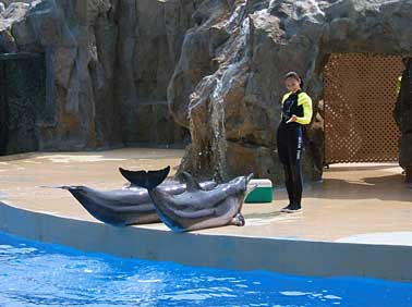 Ocean park, Hong Kong, China, Jacek Piwowarczyk 2004