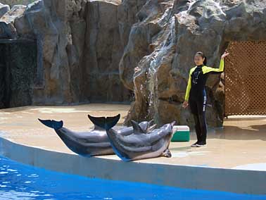 Ocean park, Hong Kong, China, Jacek Piwowarczyk 2004