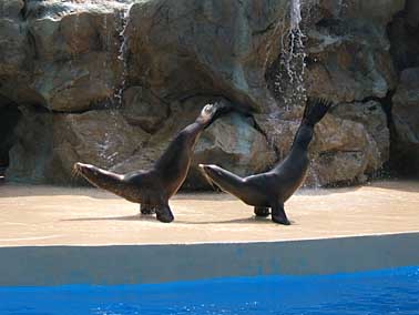 Ocean park, Hong Kong, China, Jacek Piwowarczyk 2004