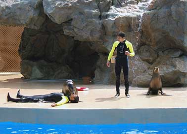 Ocean park, Hong Kong, China, Jacek Piwowarczyk 2004