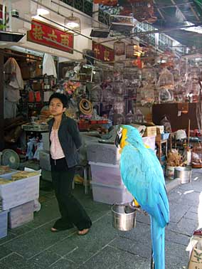 Kowloon, Hong Kong, Jacek Piwowarczyk, 2004