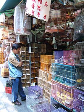 Kowloon, Hong Kong, Jacek Piwowarczyk, 2004