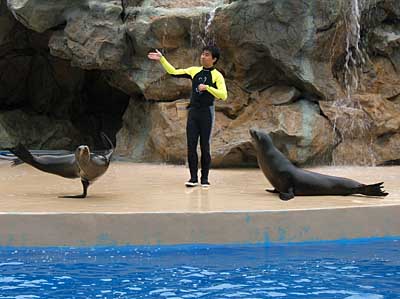 Ocean park, Hong Kong, China, Jacek Piwowarczyk 2004