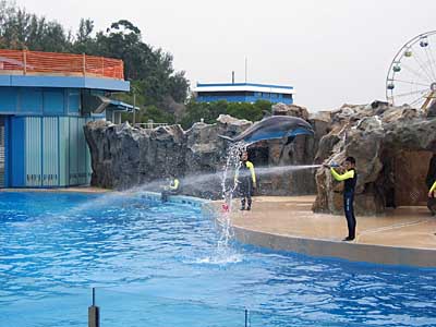 Ocean park, Hong Kong, China, Jacek Piwowarczyk 2004
