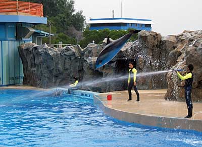 Ocean park, Hong Kong, China, Jacek Piwowarczyk 2004