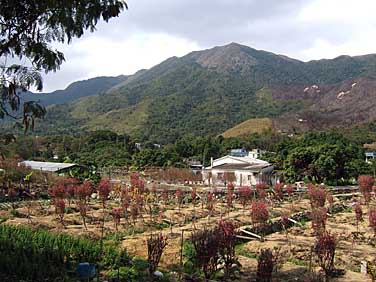 Lam Tsuen Valley, Nerw Territories, Hong Kong, China, Jacek Piowarczyk, 2005