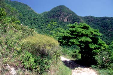 Shek Pik Country Trail, Lantau Island, Hong Kong, China, Jacek Piwowarczyk, 2006