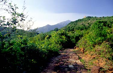 Lantau Trail Section 9, Lantau Island, Hong Kong, Jacek Piwowarczyk, 2006