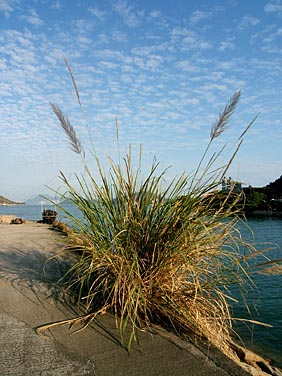 Mui Wo, Lantau Island, Hong Kong, China, Jacek Piwowarczyk, 2007