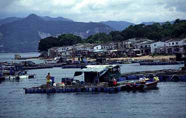 Kat O Chau Island, Hong Kong, Jacek Piwowarczyk, 1999