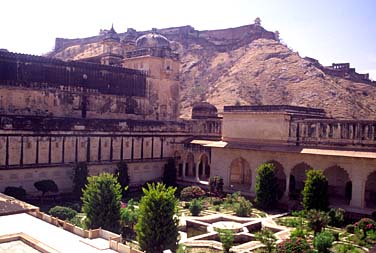 Amber and sarnath