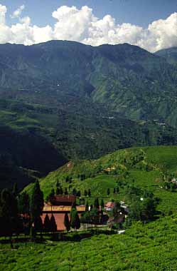 Darjeeling, India, Jacek Piwowarczyk, 1996