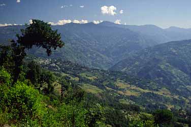 Darjeeling, India, Jacek Piwowarczyk, 1996