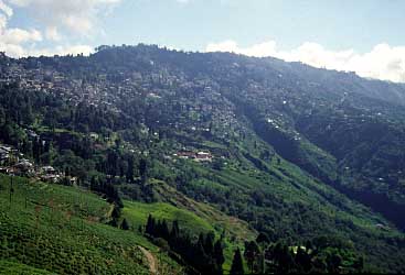 Darjeeling, India, Jacek Piwowarczyk, 1996