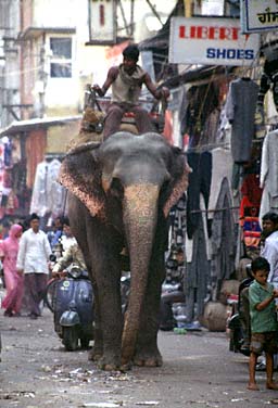 Delhi, India, Jacek Piwowwarczyk, 1995