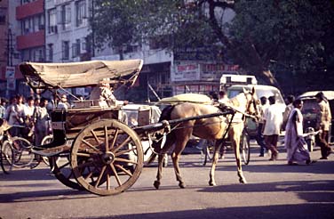 Delhi, India, Jacek Piwowwarczyk, 1995