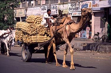 Jaipur, Rajastan, India, Jacek Piwowarczyk, 1995