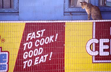 Gangtok, Sikkim, India, Jacek Piwowarczyk, 1996