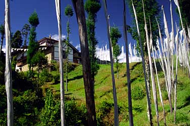 Labrang, Sikkim, India, Jacek Piwowarczyk, 1996