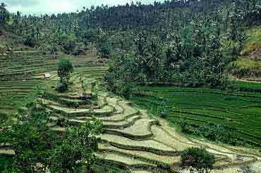 Tirtaganga, Bali, Indonesia, Jacek Piwowarczyk, 1993