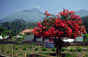 Flores, Indonesia, Jacek Piwowarczyk, 1993